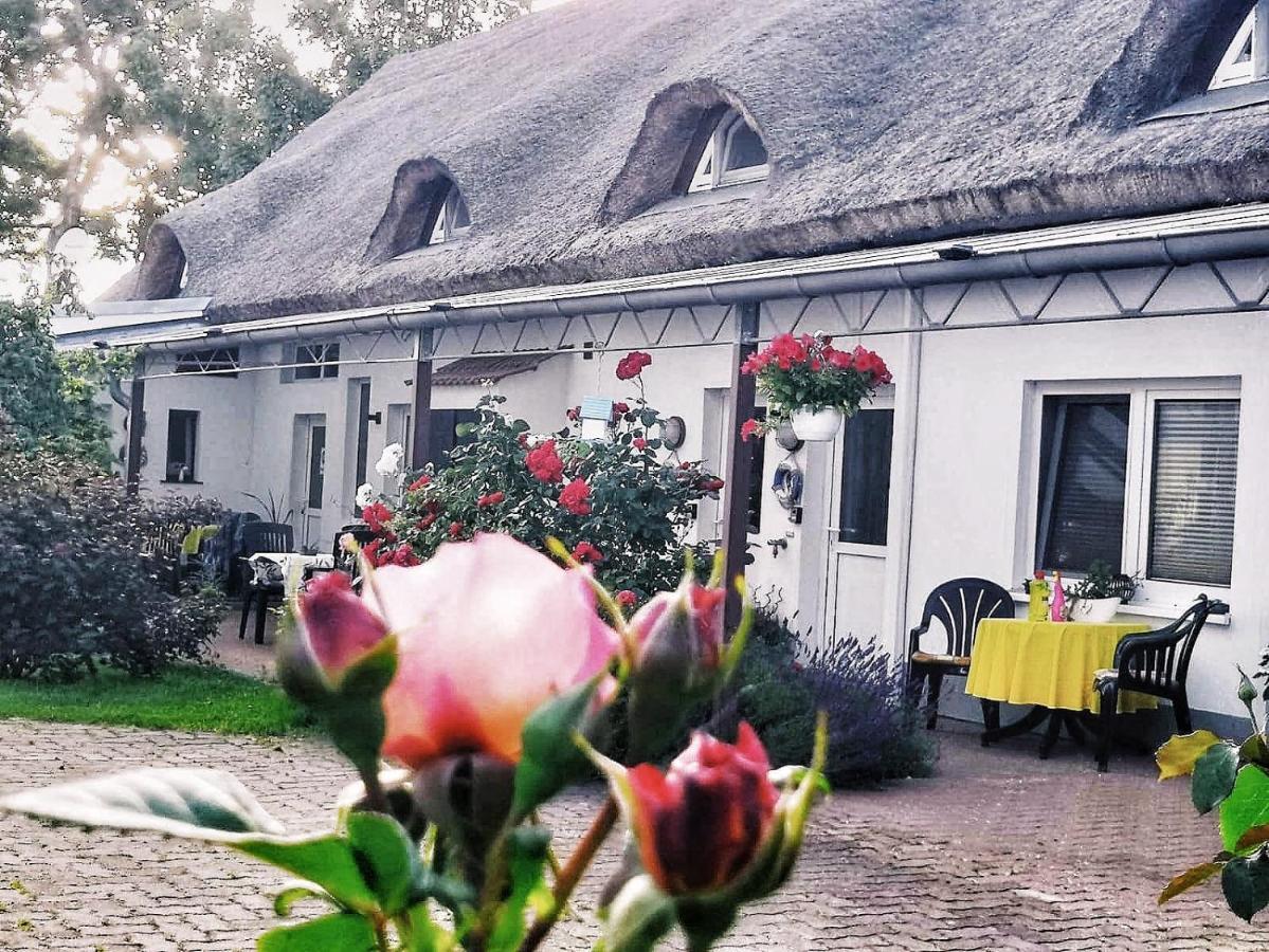 Reet Landhaus Ruegen Ummanz Екстериор снимка